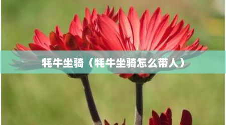 牦牛坐骑（牦牛坐骑怎么带人）