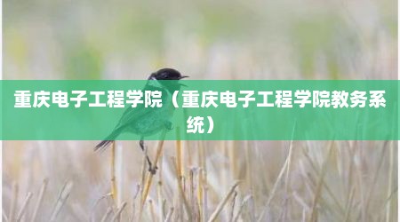 重庆电子工程学院（重庆电子工程学院教务系统）