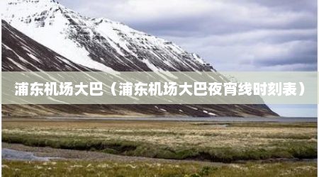 浦东机场大巴（浦东机场大巴夜宵线时刻表）