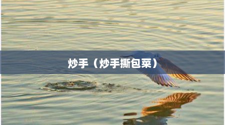 炒手（炒手撕包菜）