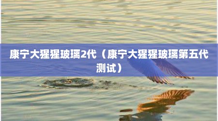 康宁大猩猩玻璃2代（康宁大猩猩玻璃第五代测试）