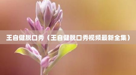 王自健脱口秀（王自健脱口秀视频最新全集）