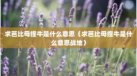 求芭比母捏牛是什么意思（求芭比母捏牛是什么意思战地）