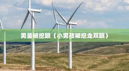 男童被挖眼（小男孩被挖走双眼）