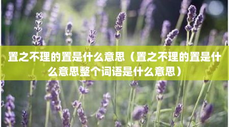 置之不理的置是什么意思（置之不理的置是什么意思整个词语是什么意思）