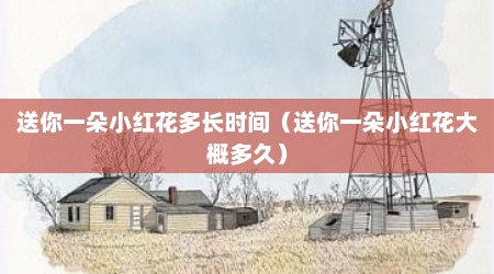 送你一朵小红花多长时间（送你一朵小红花大概多久）