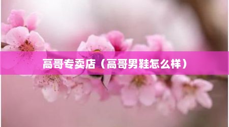 高哥专卖店（高哥男鞋怎么样）
