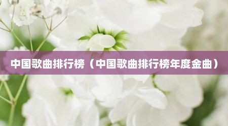中国歌曲排行榜（中国歌曲排行榜年度金曲）