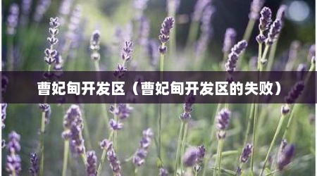 曹妃甸开发区（曹妃甸开发区的失败）