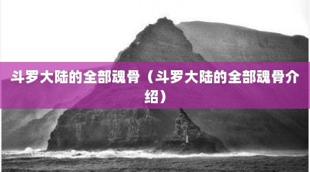 斗罗大陆的全部魂骨（斗罗大陆的全部魂骨介绍）