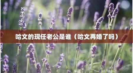 哈文的现任老公是谁（哈文再婚了吗）