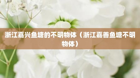 浙江嘉兴鱼塘的不明物体（浙江嘉善鱼塘不明物体）