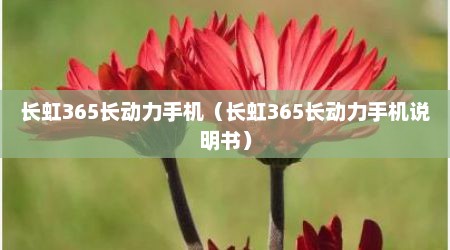 长虹365长动力手机（长虹365长动力手机说明书）