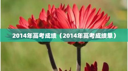 2014年高考成绩（2014年高考成绩单）