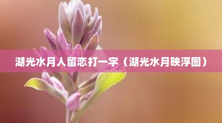 湖光水月人留恋打一字（湖光水月映浮图）