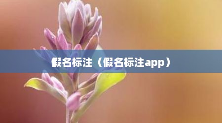 假名标注（假名标注app）
