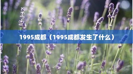 1995成都（1995成都发生了什么）