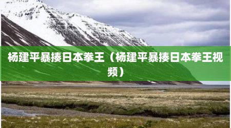 杨建平暴揍日本拳王（杨建平暴揍日本拳王视频）
