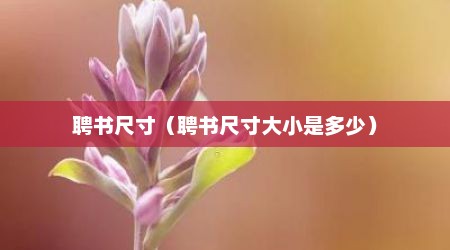 聘书尺寸（聘书尺寸大小是多少）