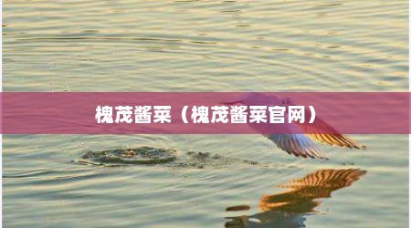 槐茂酱菜（槐茂酱菜官网）