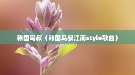 韩国鸟叔（韩国鸟叔江南style歌曲）