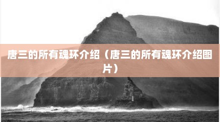 唐三的所有魂环介绍（唐三的所有魂环介绍图片）