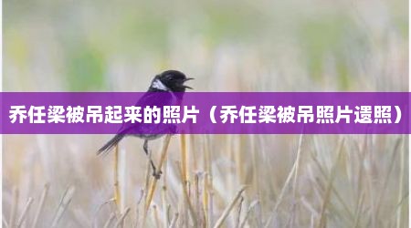 乔任梁被吊起来的照片（乔任梁被吊照片遗照）