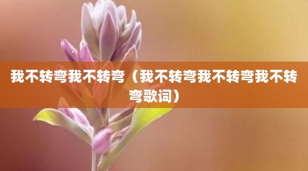 我不转弯我不转弯（我不转弯我不转弯我不转弯歌词）