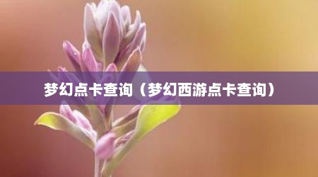 梦幻点卡查询（梦幻西游点卡查询）