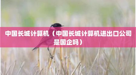 中国长城计算机（中国长城计算机进出口公司是国企吗）