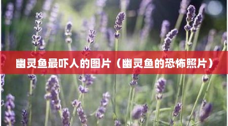幽灵鱼最吓人的图片（幽灵鱼的恐怖照片）