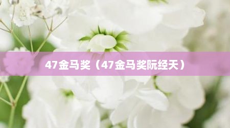 47金马奖（47金马奖阮经天）