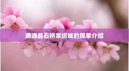 南通叠石桥家纺城的简单介绍