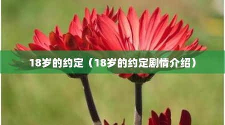 18岁的约定（18岁的约定剧情介绍）