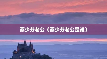 蔡少芬老公（蔡少芬老公是谁）