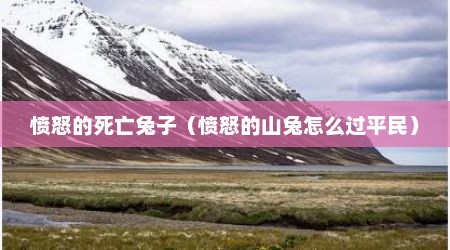 愤怒的死亡兔子（愤怒的山兔怎么过平民）