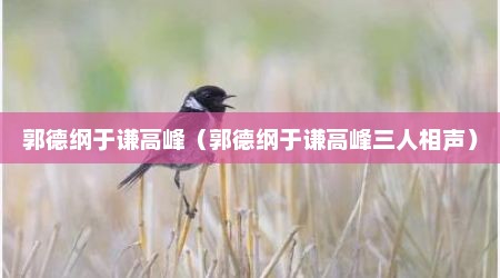 郭德纲于谦高峰（郭德纲于谦高峰三人相声）