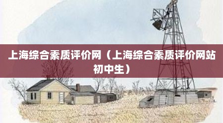 上海综合素质评价网（上海综合素质评价网站初中生）
