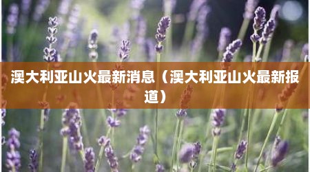 澳大利亚山火最新消息（澳大利亚山火最新报道）