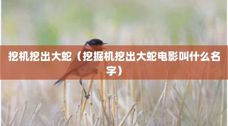 挖机挖出大蛇（挖掘机挖出大蛇电影叫什么名字）