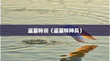盗墓特训（盗墓特种兵）
