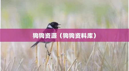 狗狗资源（狗狗资料库）