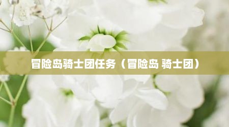 冒险岛骑士团任务（冒险岛 骑士团）