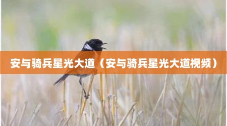 安与骑兵星光大道（安与骑兵星光大道视频）