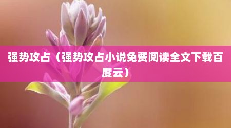 强势攻占（强势攻占小说免费阅读全文下载百度云）