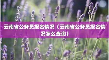 云南省公务员报名情况（云南省公务员报名情况怎么查询）