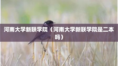 河南大学新联学院（河南大学新联学院是二本吗）