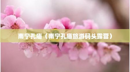 南宁孔庙（南宁孔庙旅游码头露营）