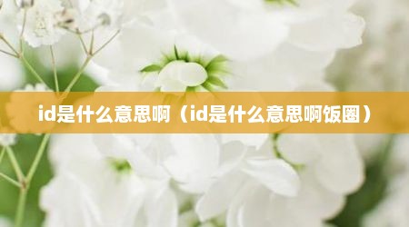 id是什么意思啊（id是什么意思啊饭圈）