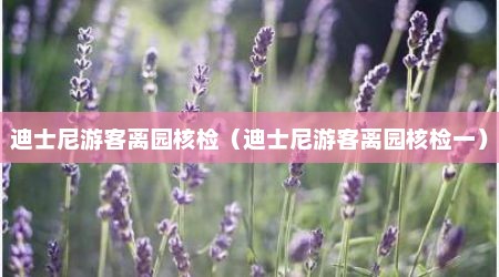 迪士尼游客离园核检（迪士尼游客离园核检一）